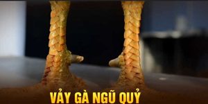 vảy gà ngũ quỷ